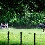 Semesterpark Molecaten Park De Leemkule