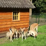 Molecaten Park De Leemkule ハッテム