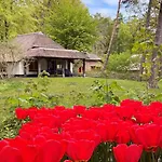 Molecaten Park De Leemkule 4* Hattem