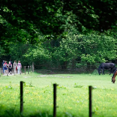 Prázdninový areál Molecaten Park De Leemkule