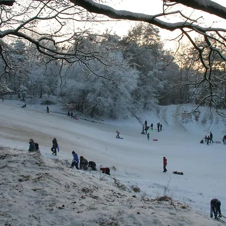 Molecaten Park De Leemkule 4*