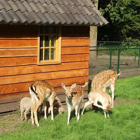 Molecaten Park De Leemkule Hattem