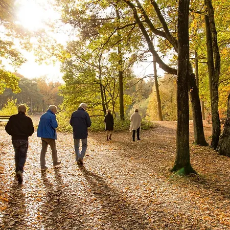 Molecaten Park De Leemkule Πάρκο διακοπών