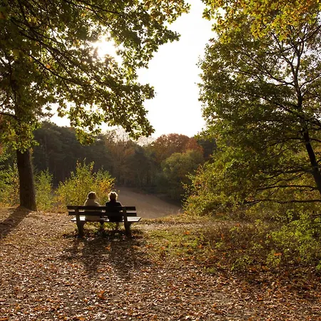 Holiday park Molecaten Park De Leemkule 4*