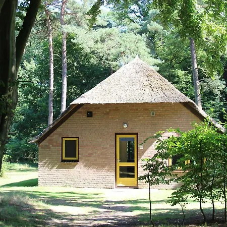 Molecaten Park De Leemkule 4* Hattem