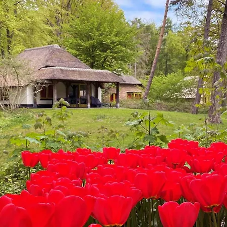Molecaten Park De Leemkule 4* Hattem
