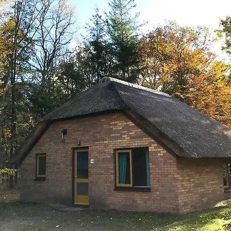 Molecaten Park De Leemkule 4* Hattem