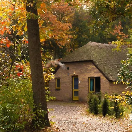 Molecaten Park De Leemkule Semesterpark Hattem
