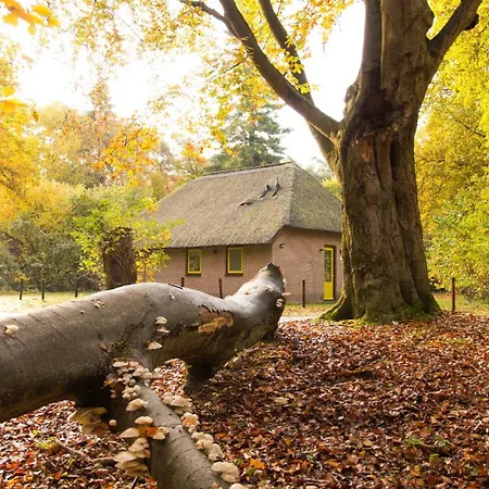 Feriepark Molecaten Park De Leemkule 4*