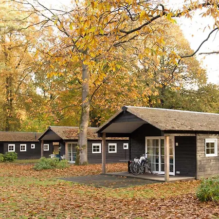 Molecaten Park De Leemkule Hattem
