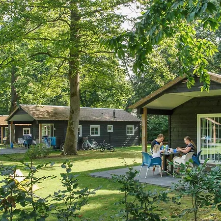 Πάρκο διακοπών Molecaten Park De Leemkule 4*
