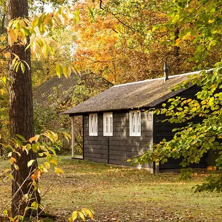 Πάρκο διακοπών Molecaten Park De Leemkule Hattem
