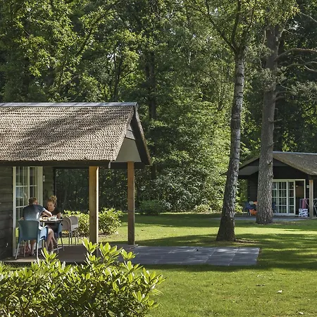 Molecaten Park De Leemkule Hattem