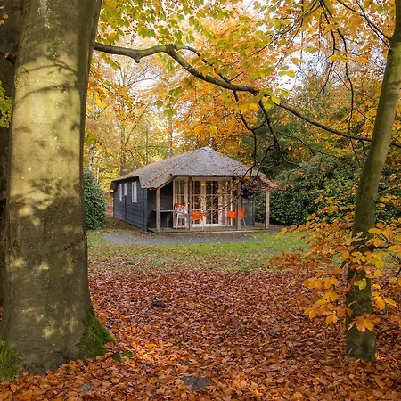 Molecaten Park De Leemkule 4* Hattem