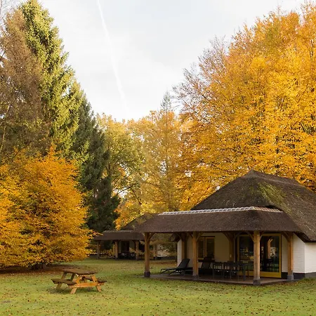 Holiday park Molecaten Park De Leemkule 4*