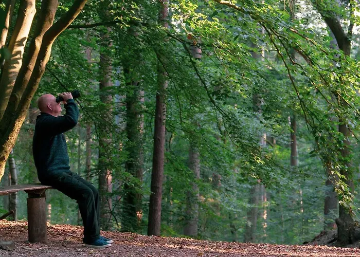 Molecaten Park De Leemkule Vakantiepark 4*