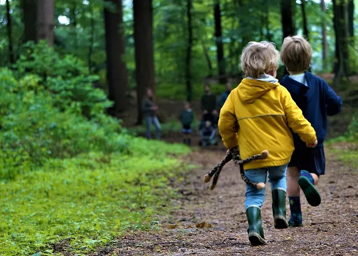 Molecaten Park De Leemkule 4* Hattem