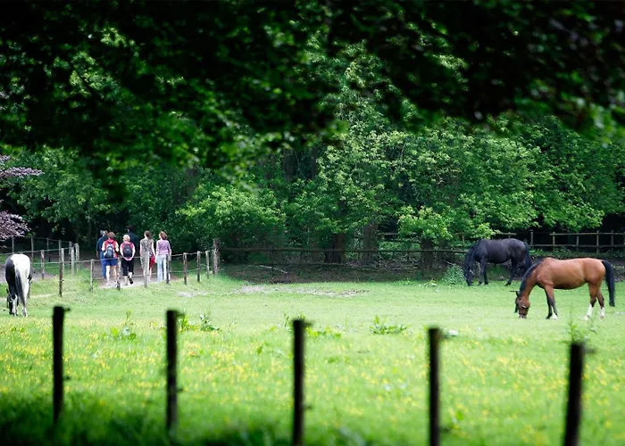 홀리데이파크 Molecaten Park De Leemkule