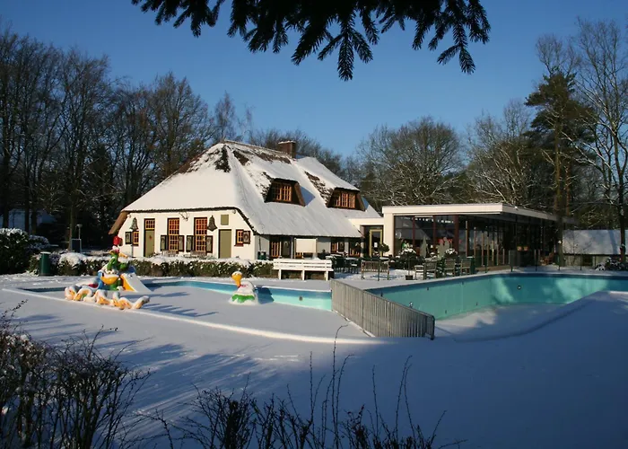 Molecaten Park De Leemkule 하텀