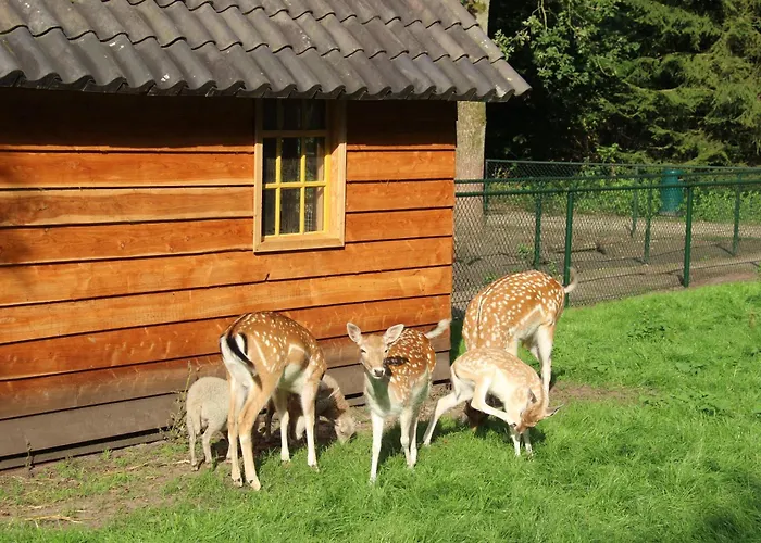 Molecaten Park De Leemkule 하텀