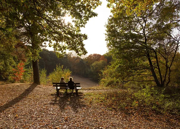 Vakantiepark Molecaten Park De Leemkule 4*