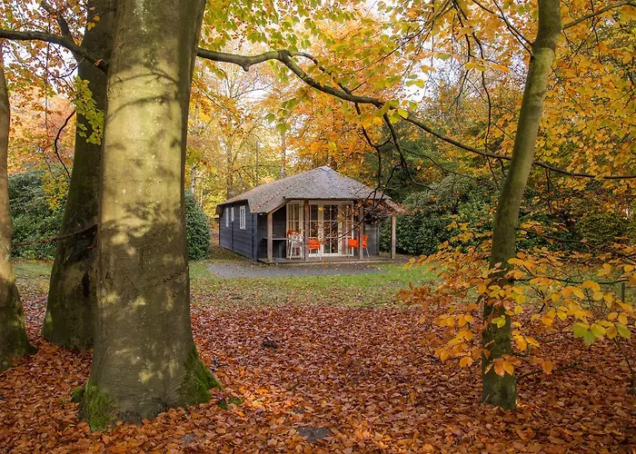 Molecaten Park De Leemkule 4* 하텀