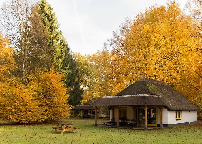 Vakantiepark Molecaten Park De Leemkule 4*