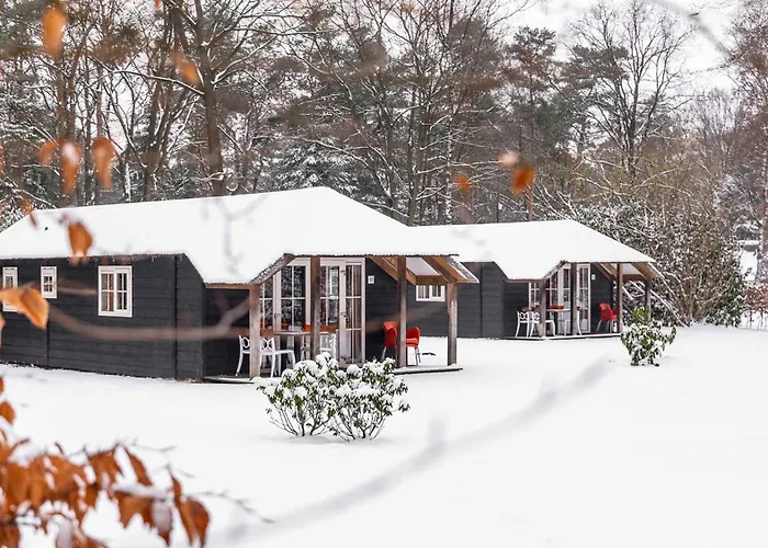 Molecaten Park De Leemkule 4*