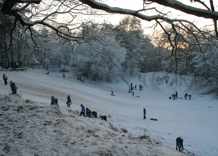 Molecaten Park De Leemkule 4*