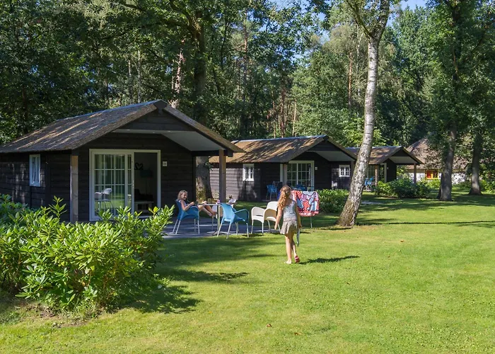 Molecaten Park De Leemkule Parque de vacaciones Hattem